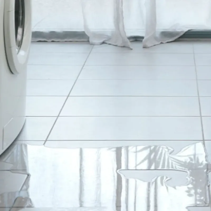 Appliance Leak Cleanup in Manatee County, FL