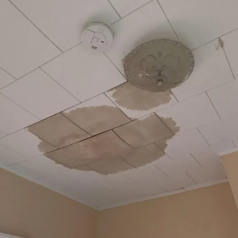 Ceiling Water Damage Repair in Manatee County, FL